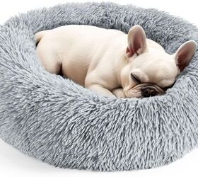 how to help a pet adjust after moving to a new home