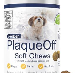 is periodontal disease in dogs reversible