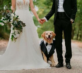 From Tuxes to Dresses - Chewy’s Wedding Line for Pets Is Beyond Cute