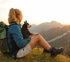 watch out for these common summer dangers for dogs, Photo credit Flystock Shutterstock com