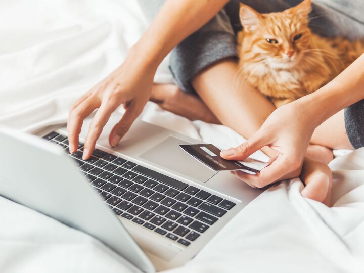 Beware of Counterfeit Pet Products | PetGuide