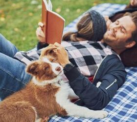 Researchers Compared Relationships with Dogs to Those with Humans