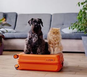 Having a Pet Influences How and If People Travel