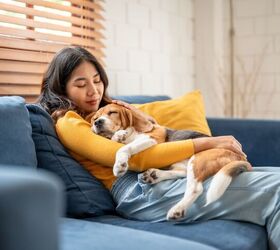 When Stressed, People Prefer Pets Over Family and Friends