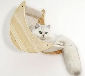 Cat Shelf for Wall Mount Hammock with Climbing Shelves - image via Amazon