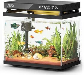 is it safe to keep fish in a small bowl