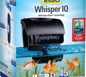 is it safe to keep fish in a small bowl