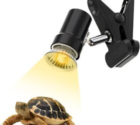 what are good reptiles for first time owners