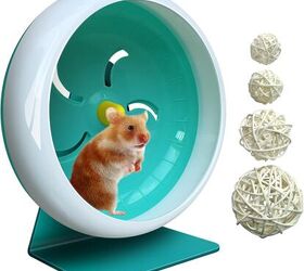 how can i tell if my hamster is happy