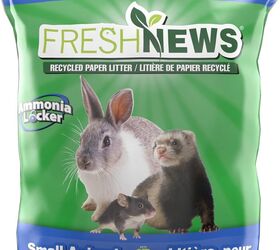 whats the best litter for my pet rat