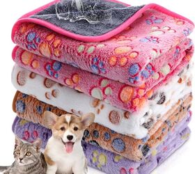 how to replace your pet s fave worn out blanket with something new