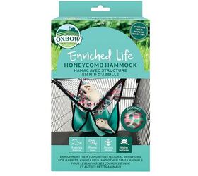 the essentials you need for a pet rat