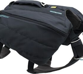 essential gear you need for hiking with your dog