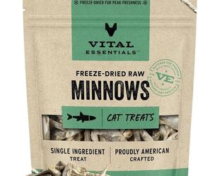 how to trim your cats nails safely