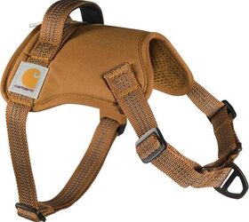 should i be using a dog harness instead of a collar