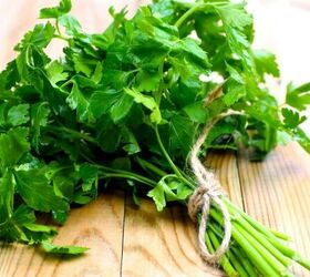 this easy 3 ingredient recipe makes the perfect cat treat, Fresh parsley image via Canva