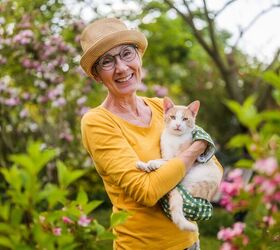 Cat Care For Seniors Made Easy