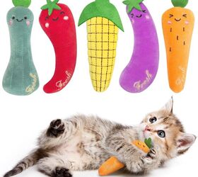 cat care for seniors made easy