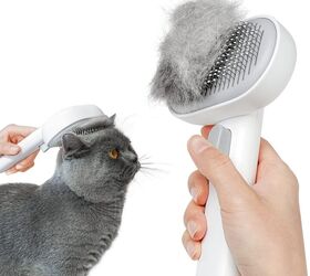 cat care for seniors made easy