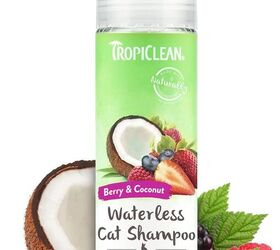 cat care for seniors made easy