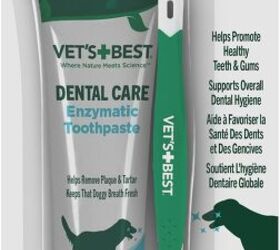 why does my dog have bad breath