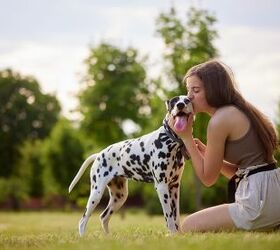 Study Finds Owning a Pet Is As Good For You As Being Married