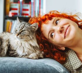 Things You Should Know as a First-Time Cat Parent