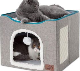 things you should know as a first time cat parent