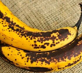 your dog will love this healthy 3 ingredient treat, Ripe bananas image via Canva