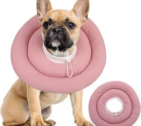 let s swap out the dread dog cone with something comfortable