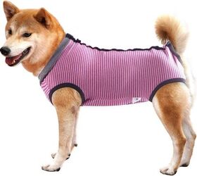 let s swap out the dread dog cone with something comfortable