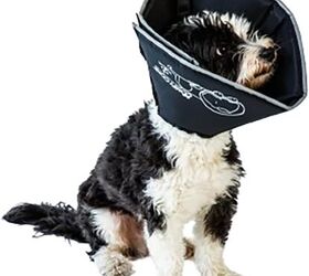 let s swap out the dread dog cone with something comfortable