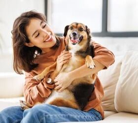 Studies Show Humans Struggle to Read Dog Emotions