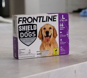 flea and tick season is here how to protect your pets