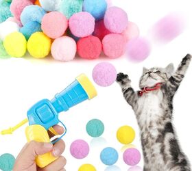 how to stop you cat from catching wildlife