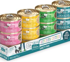 should i feed my cat wet or dry food
