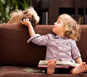 How to Safely Introduce Young Kids to Old Dogs
