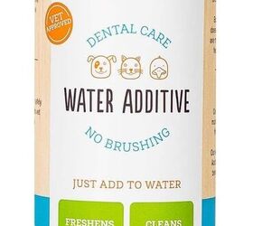 how do you get rid of bad breath in dogs