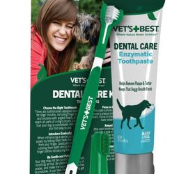 how do you get rid of bad breath in dogs