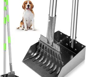 how do i know if my dog has tapeworm