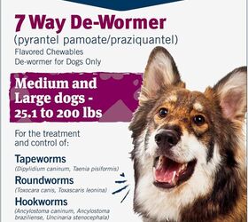 how do i know if my dog has tapeworm