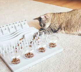 How Can Food Puzzles Boost Your Cat's Overall Well-being?