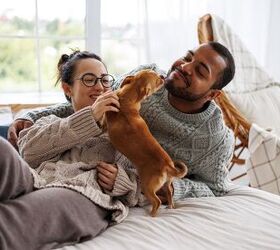What To Expect as a First-Time Dog Parent