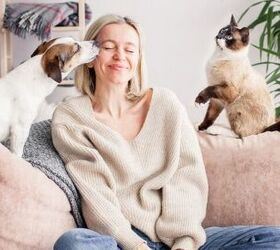 New Report Reveals Exciting Shifts in How We Love Our Pets