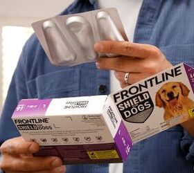 Save 40% On FRONTLINE® Flea and Tick Protection