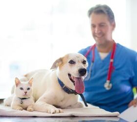 More than Half of Pet Owners are Skipping Veterinary Care