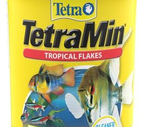 why is my fish lying at the bottom of the tank
