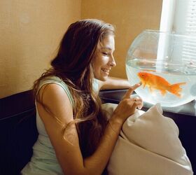 Do Fish Recognize Their Owners?