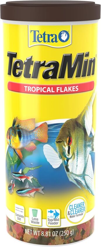 A closer look at Choosing The Right Food For Goldfish In Apartments