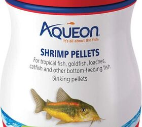 whats the best food for goldfish